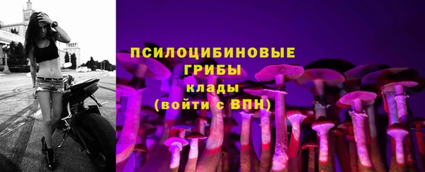 твердый Армянск