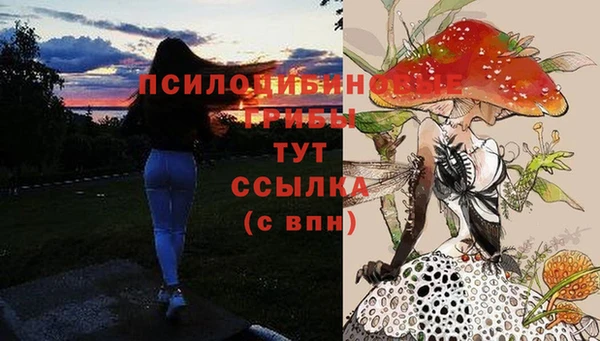 молекула духа Алзамай