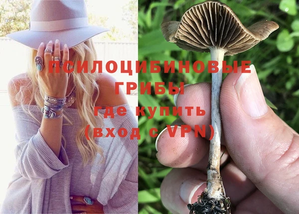 молекула духа Алзамай