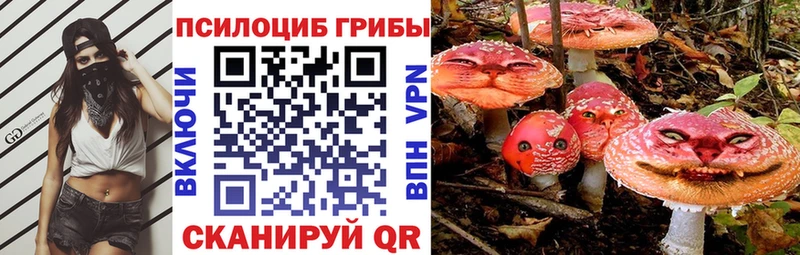 Купить закладки  Казань  Галлюциногенные грибы прущие грибы 