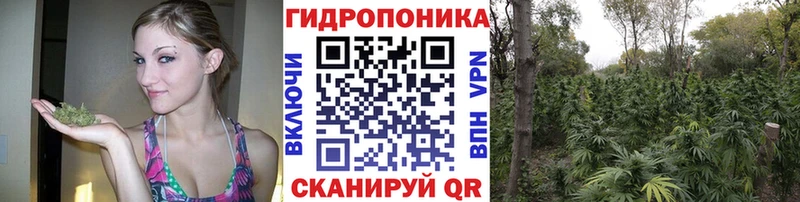 Бошки Шишки VHQ  Купить где  Казань 